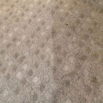 carpet half clean